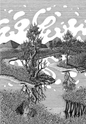 Water level